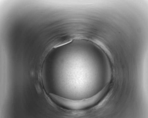 X0000089451289200706221240