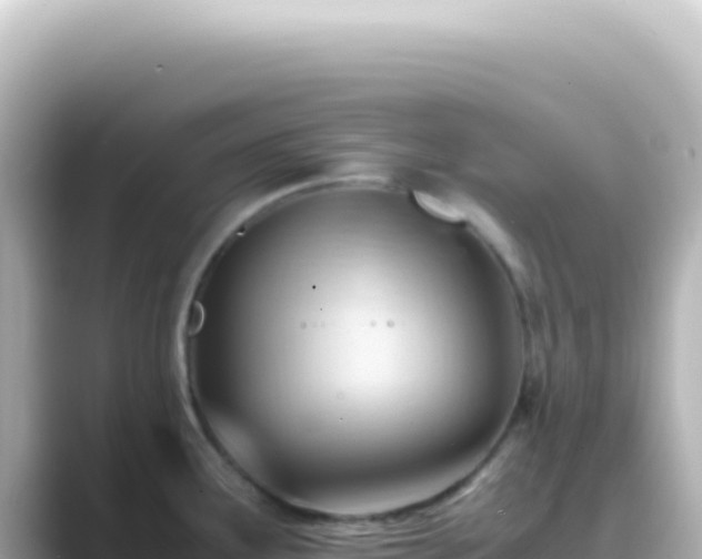 X0000089451291200706221240