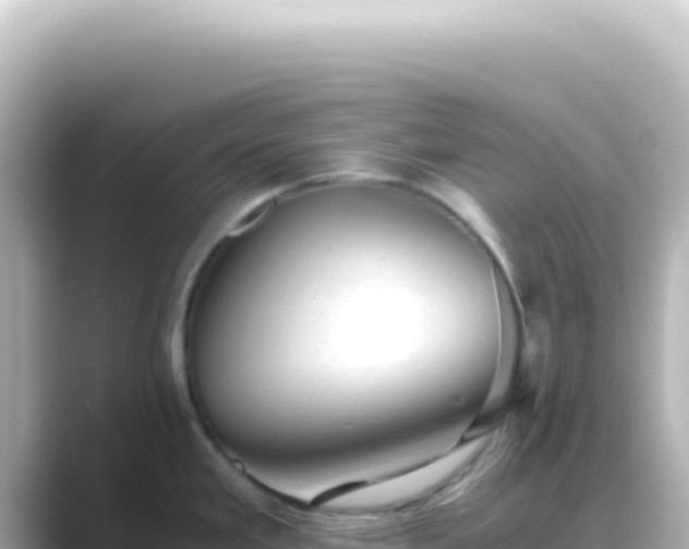 X0000089451293200706221240