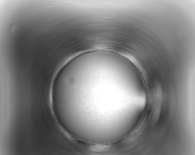 X0000089451294200706221240