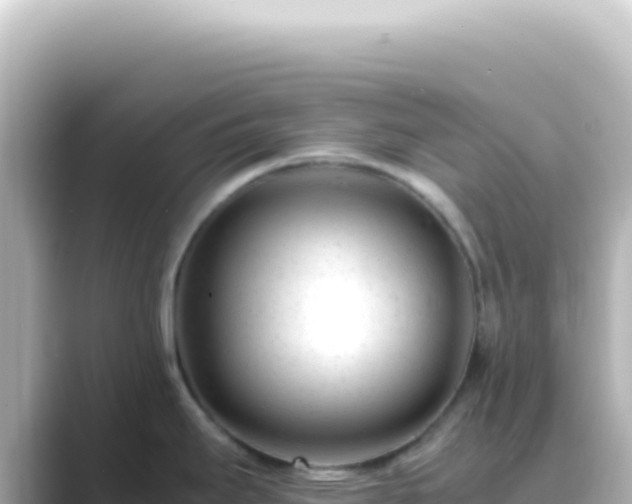 X0000089451295200706221240