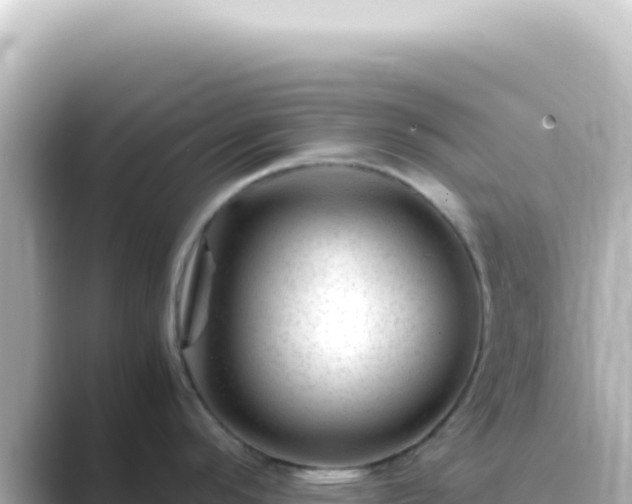 X0000089451296200706221240