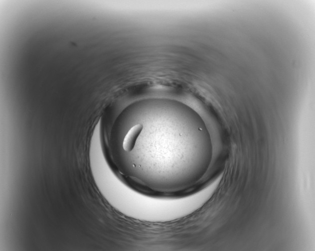 X0000089451298200706221240