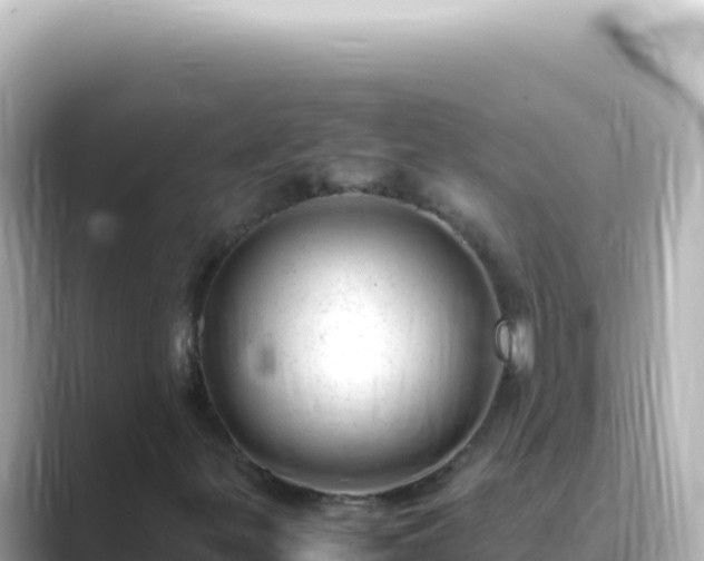 X0000089451299200706221240