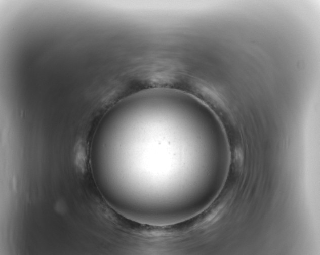 X0000089451300200706221240