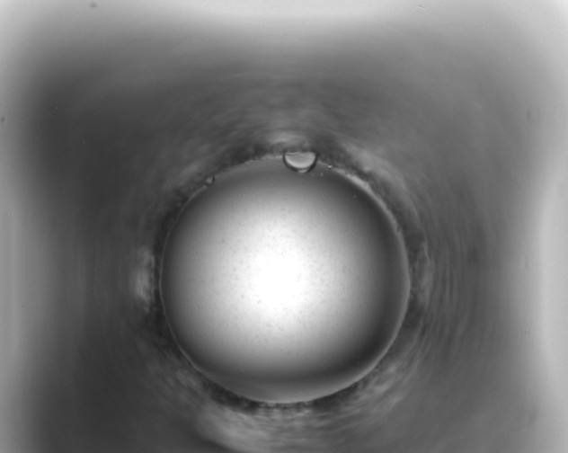 X0000089451301200706221240