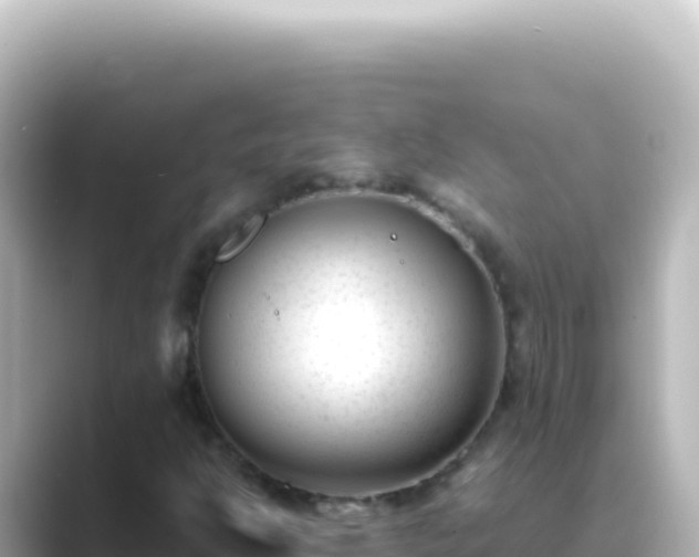X0000089451302200706221240