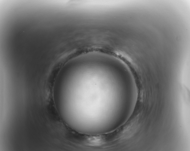 X0000089451303200706221240