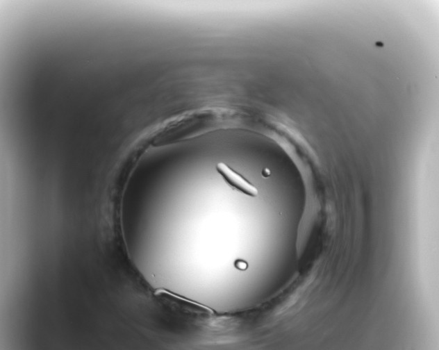 X0000089451304200706221240