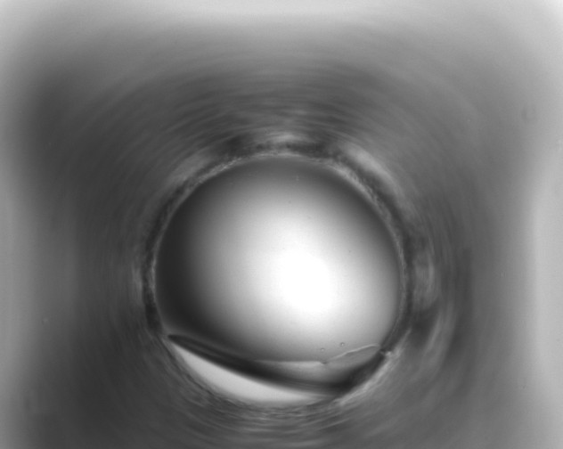 X0000089451305200706221240