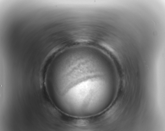 X0000089451306200706221240