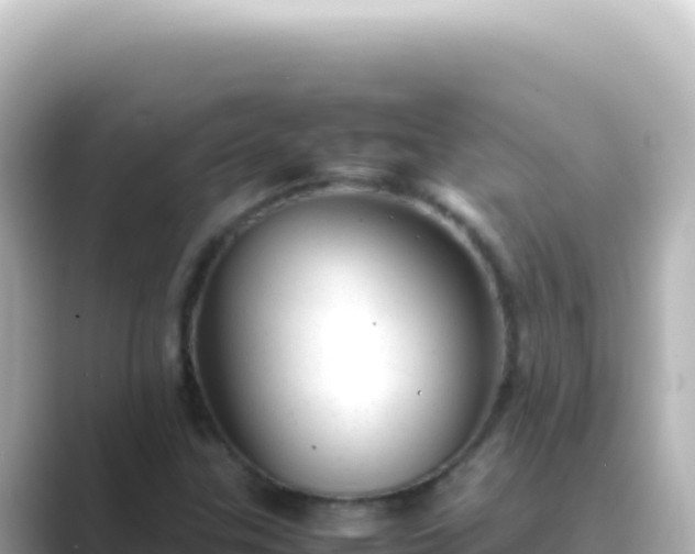 X0000089451307200706221240