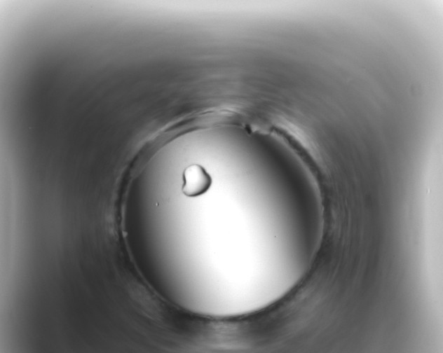 X0000089451308200706221240