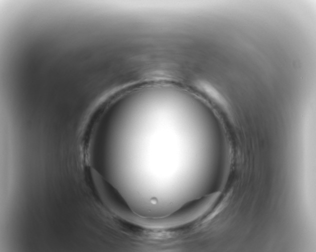 X0000089451310200706221240