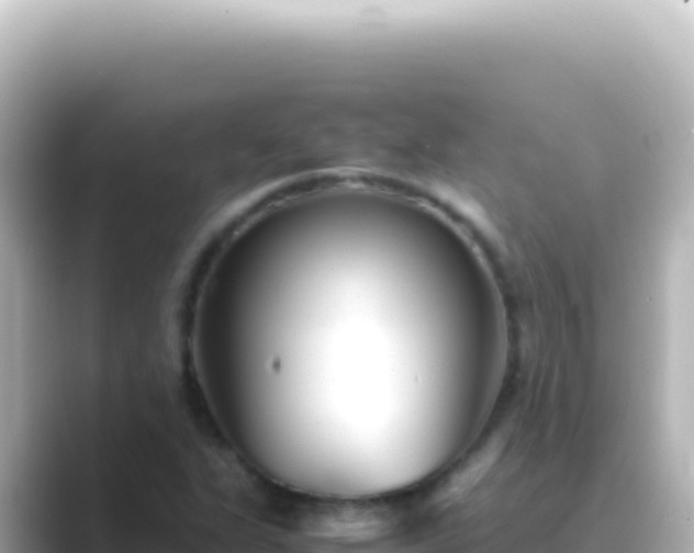 X0000089451311200706221240