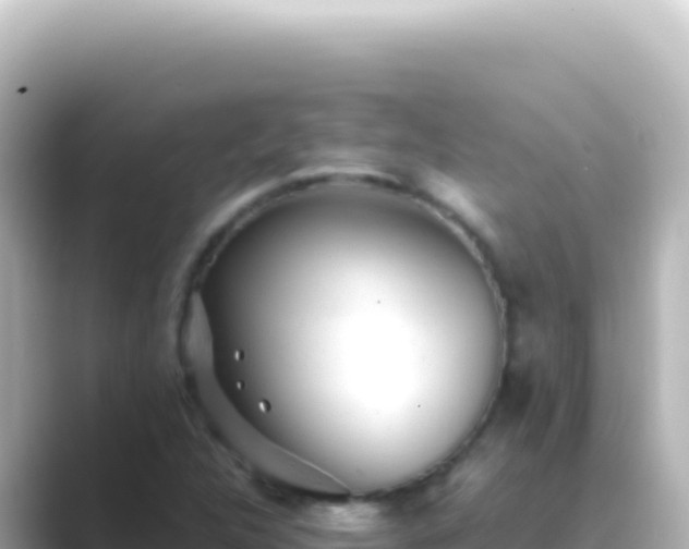 X0000089451312200706221240