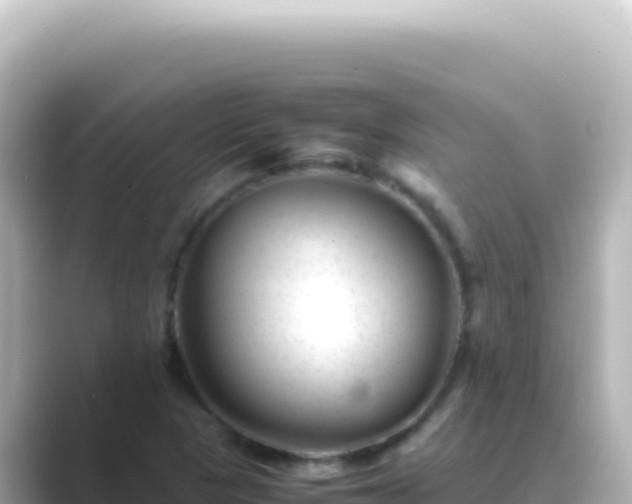 X0000089451313200706221240