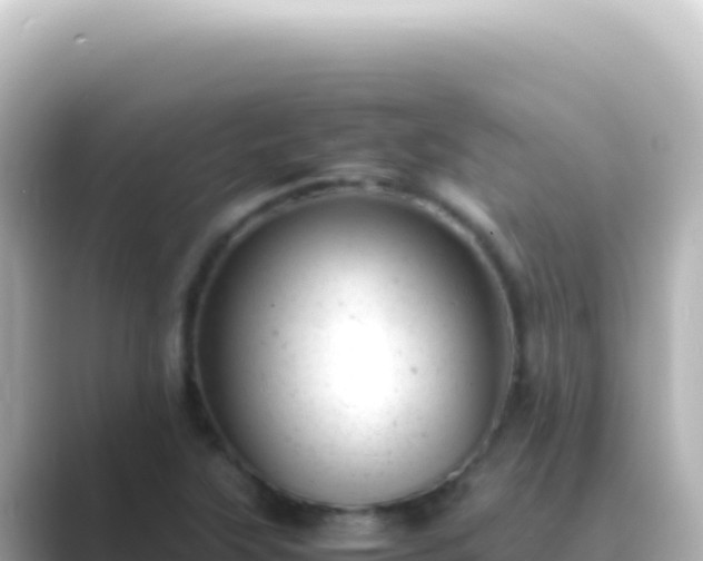 X0000089451315200706221240
