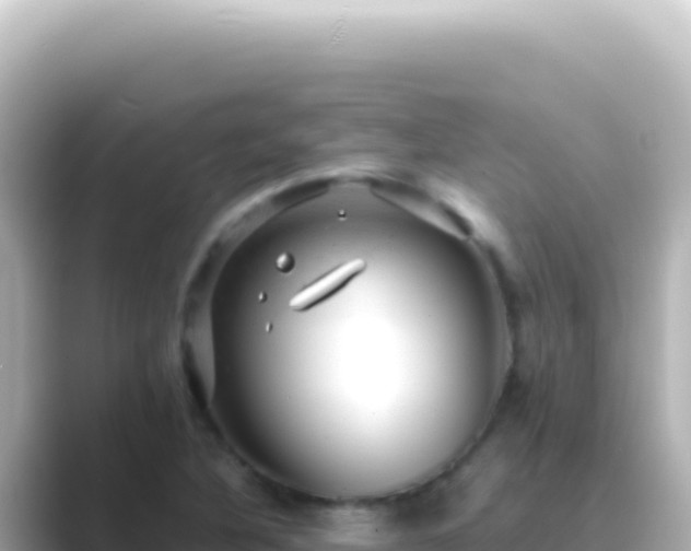 X0000089451316200706221240
