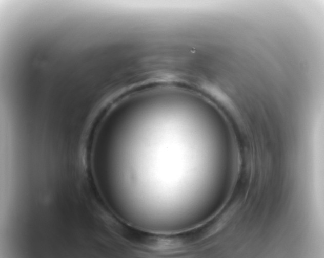 X0000089451318200706221240