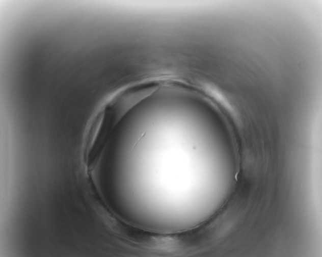X0000089451320200706221240