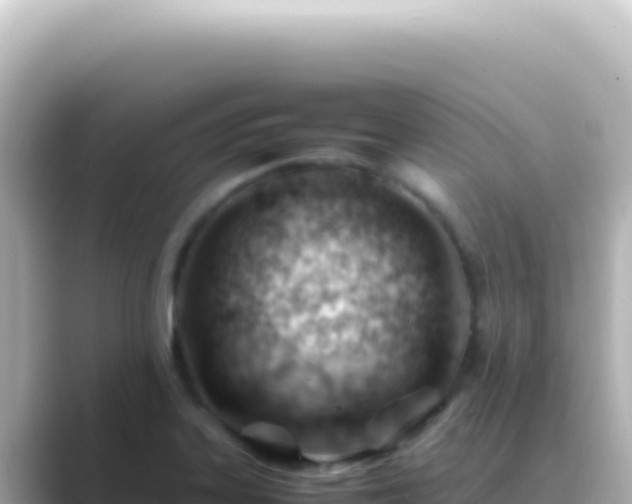 X0000089451323200706221240