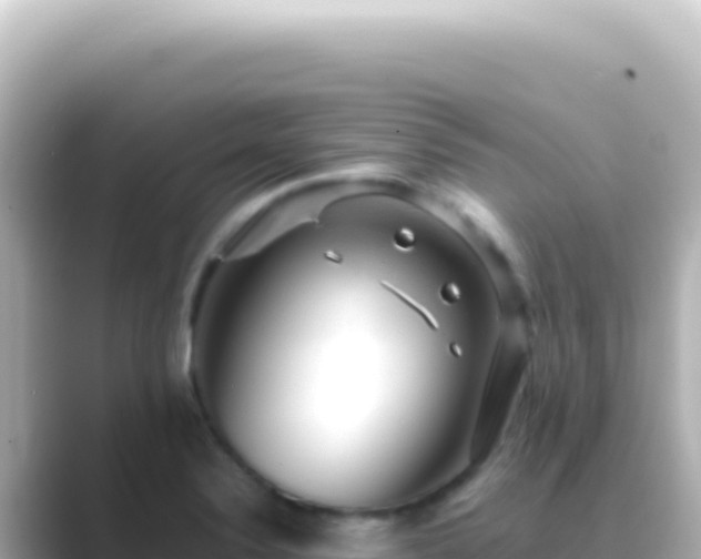 X0000089451324200706221240