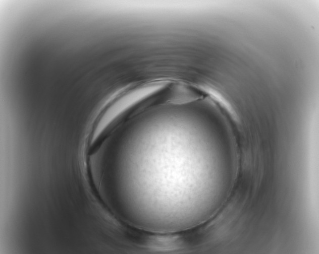 X0000089451325200706221240