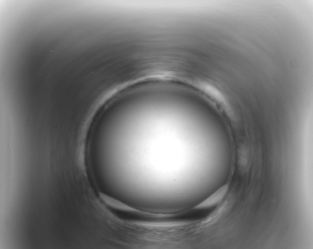 X0000089451326200706221240