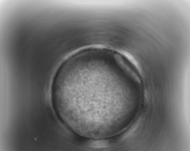 X0000089451327200706221240