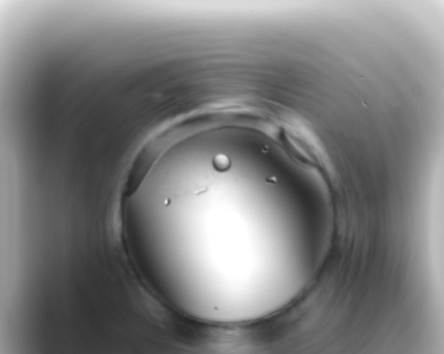 X0000089451328200706221240