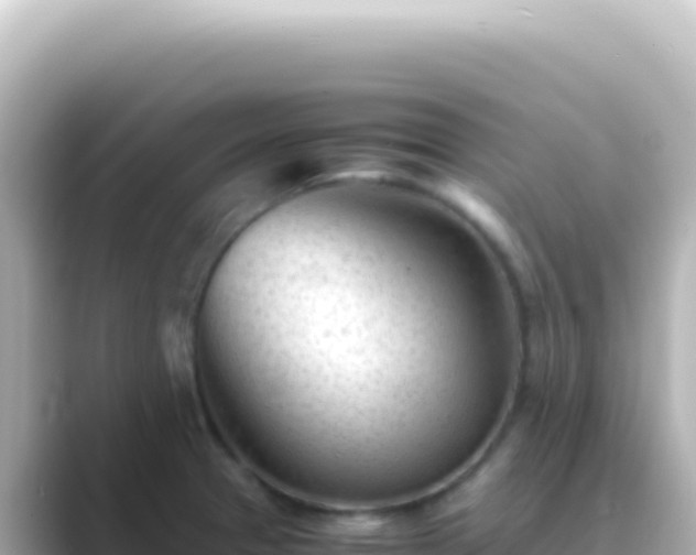 X0000089451329200706221240