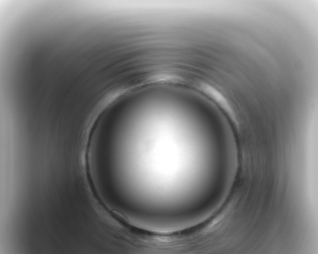 X0000089451330200706221240