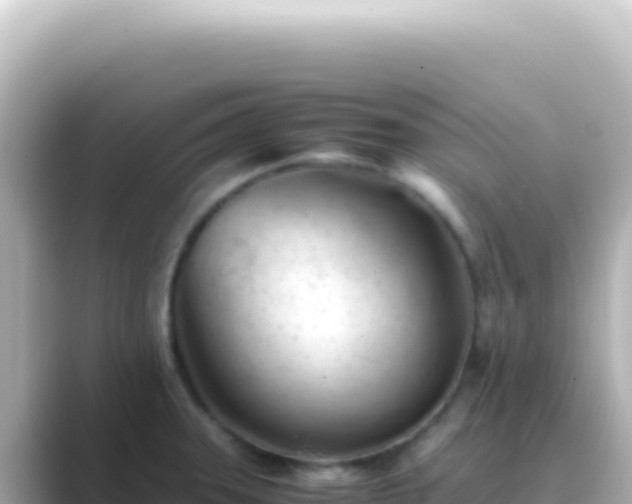 X0000089451331200706221240