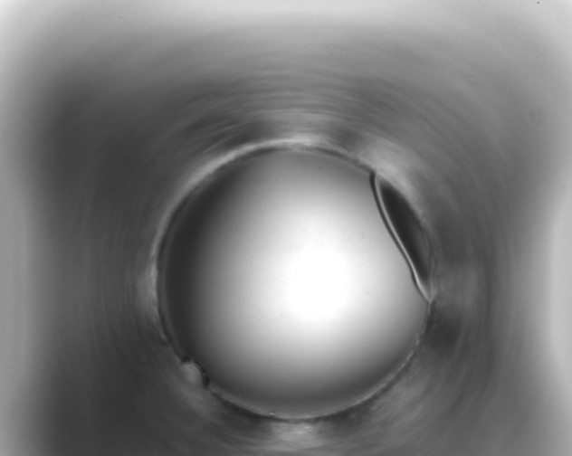 X0000089451332200706221240