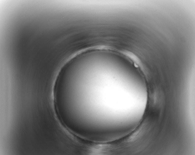 X0000089451335200706221240