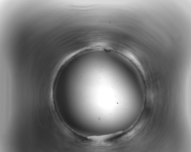 X0000089451336200706221240