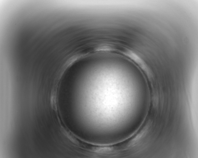 X0000089451337200706221240