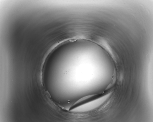 X0000089451340200706221240