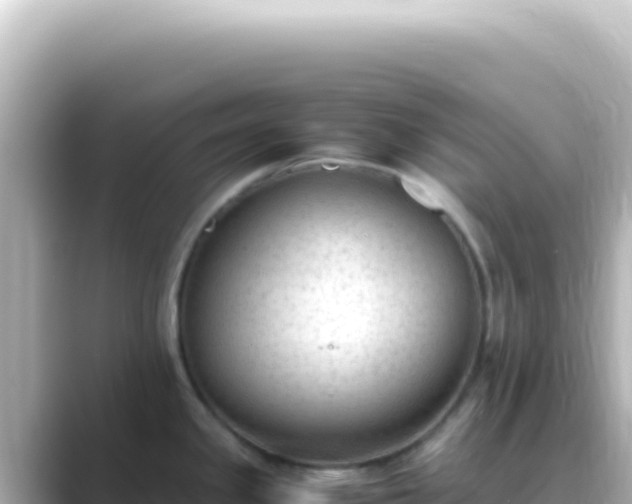 X0000089451341200706221240