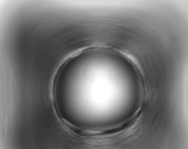 X0000089451342200706221240