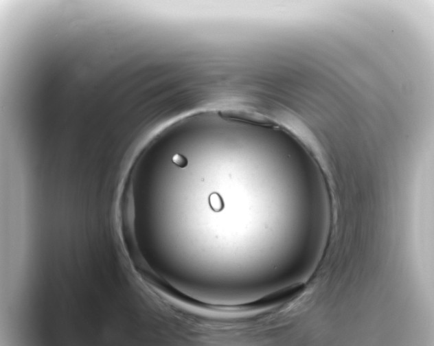 X0000089451344200706221240