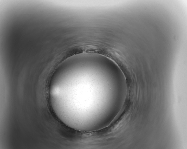 X0000089451345200706221240