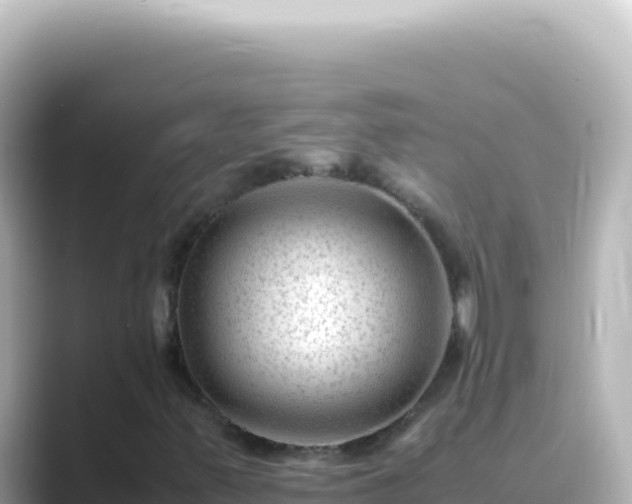 X0000089451347200706221240
