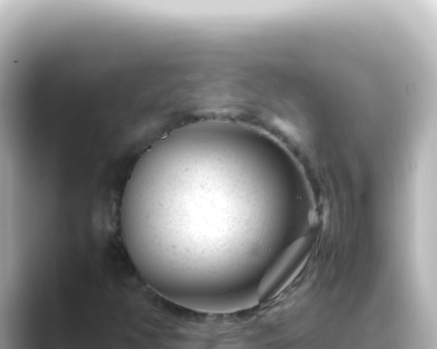 X0000089451350200706221240