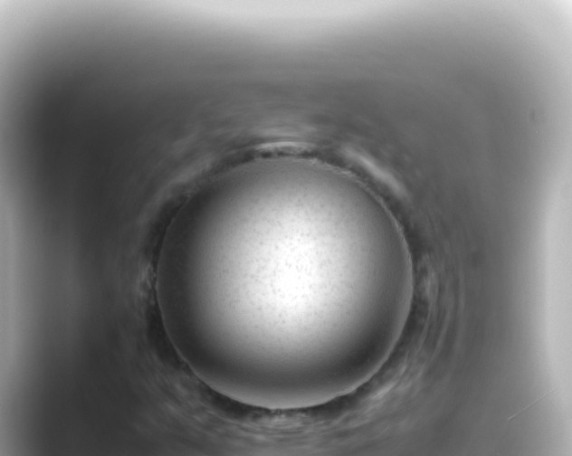 X0000089451351200706221240