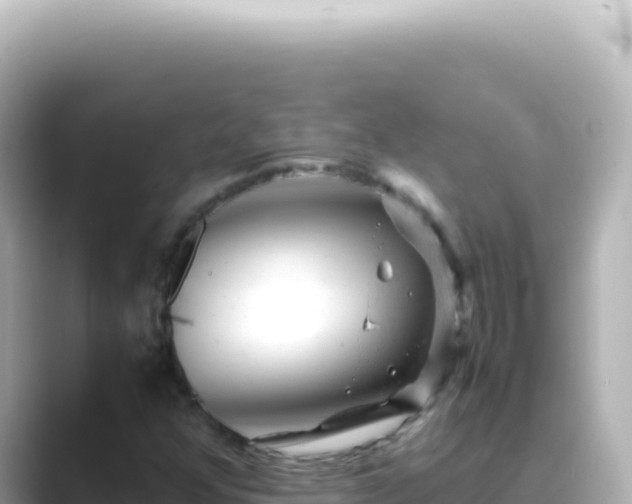 X0000089451352200706221240