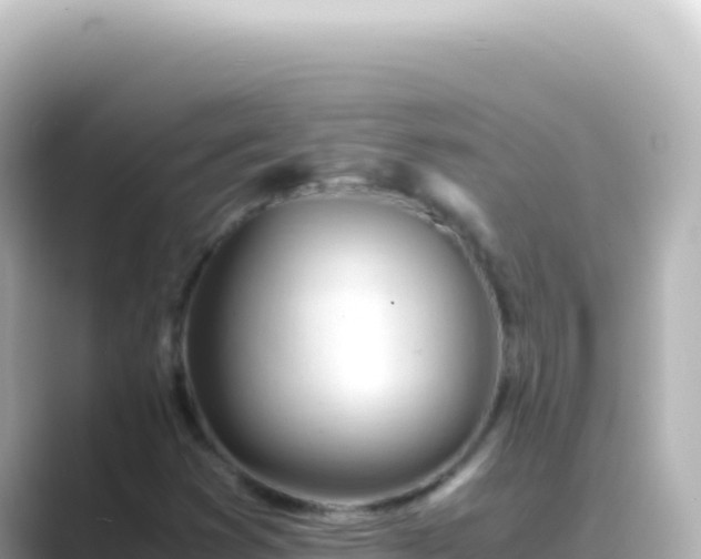 X0000089451353200706221240