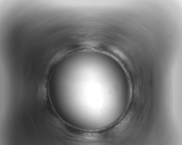 X0000089451354200706221240