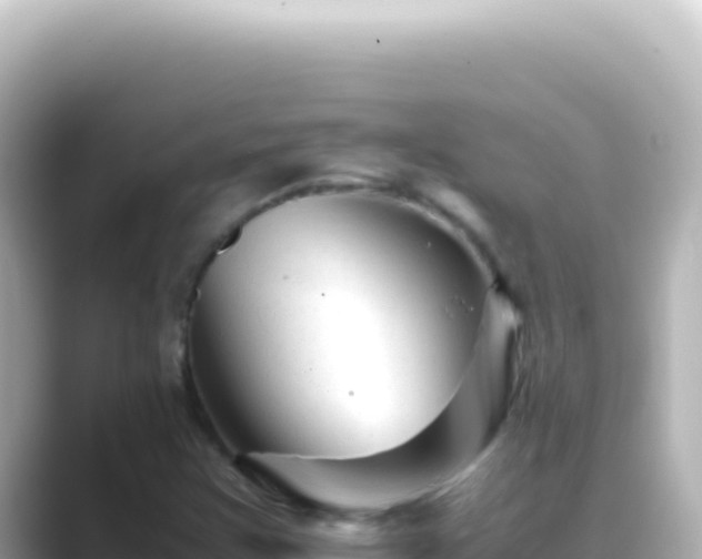 X0000089451355200706221240
